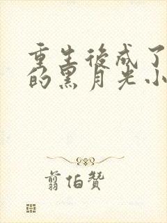 重生后成了首辅的黑月光小说