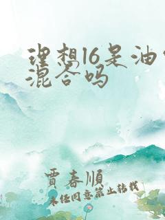 理想l6是油电混合吗