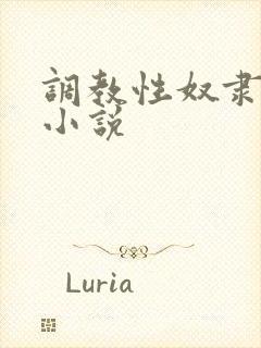 调教性奴隶母狗小说