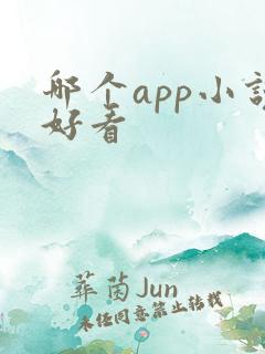 哪个app小说好看