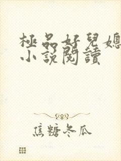 极品好儿媳陈梅小说阅读