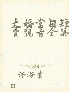 大婚当日短剧免费观看全集
