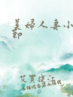 美妇人妻小说章节