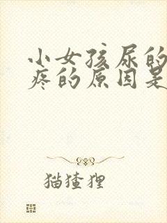 小女孩尿的地方疼的原因是什么情况 小女孩尿的地方疼的原因是什么情况