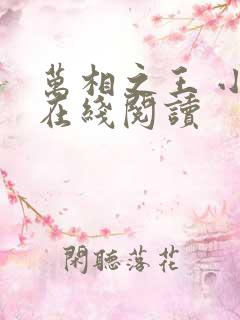 万相之王 小说在线阅读