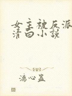 女主被反派毁了清白小说