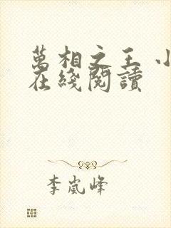 万相之王 小说在线阅读