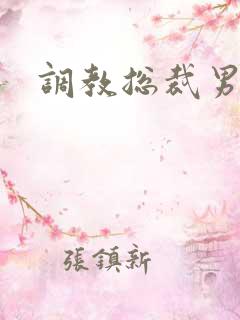 调教总裁男奴