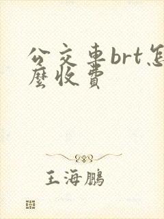 公交车brt怎么收费