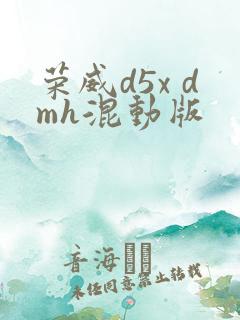 荣威d5x dmh混动版 荣威d5x dmh混动版