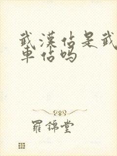 武汉站是武昌火车站吗