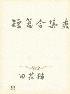 短篇合集爽文