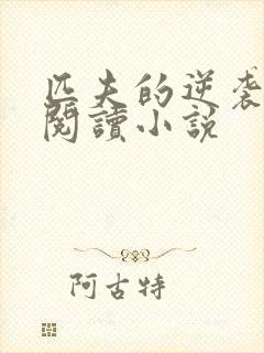 匹夫的逆袭免费阅读小说 匹夫的逆袭免费阅读小说