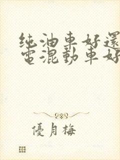 纯油车好还是油电混动车好 纯油车好还是油电混动车好