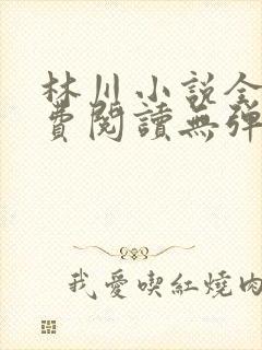 林川小说全文免费阅读无弹窗