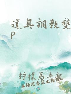 道具调教双性np
