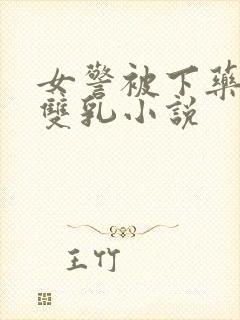 女警被下药玩弄双乳小说
