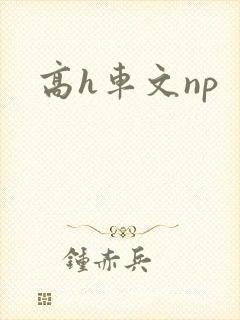 高h车文np