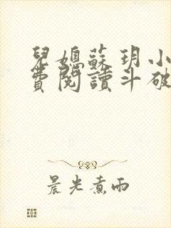 儿媳苏玥小说免费阅读斗破