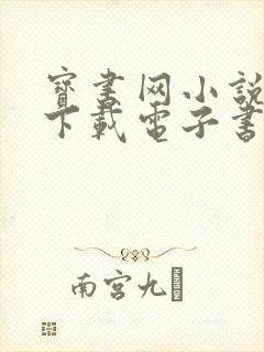 宝书网小说免费下载电子书