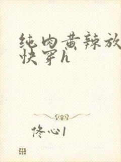 纯肉黄辣放荡高快穿h