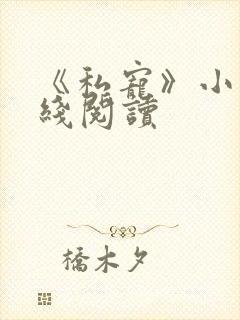 《私宠》小说在线阅读
