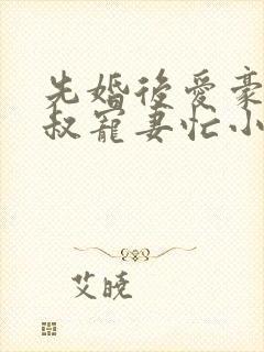 先婚后爱豪门大叔宠妻忙小说