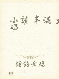 小说 丰满 大奶