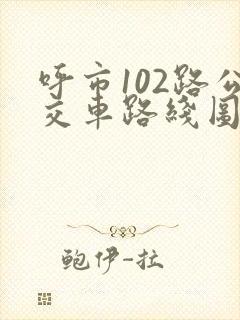 呼市102路公交车路线图