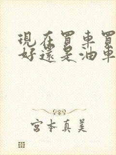 现在买车买电车好还是油车好
