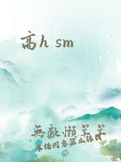 高h sm