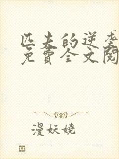 匹夫的逆袭小说免费全文阅读