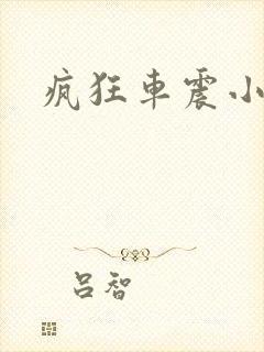 疯狂车震小说