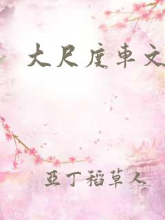 大尺度车文 大尺度车文