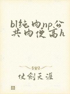 bl纯肉np公共肉便高h