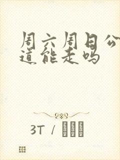 周六周日公交车道能走吗