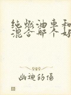 纯燃油车和油电混合哪个好