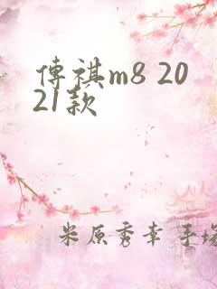 传祺m8 2021款