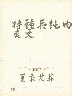 特种兵纯肉高h爽文