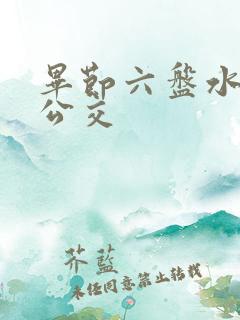 毕节六盘水城际公交