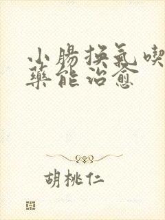 小肠换气吃什么药能治愈
