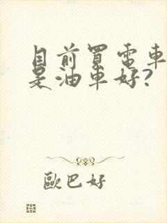 目前买电车好还是油车好?