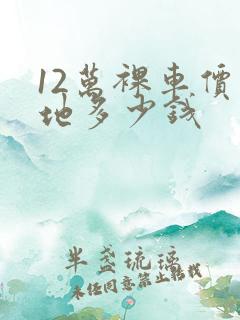 12万裸车价落地多少钱