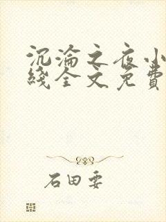 沉沦之夜小说在线全文免费阅读