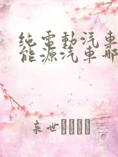 纯电动汽车和新能源汽车哪个好