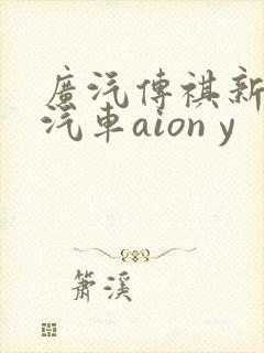 广汽传祺新能源汽车aion y