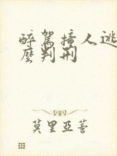 醉驾撞人逃逸怎么判刑