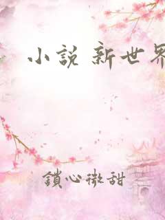 小说 新世界