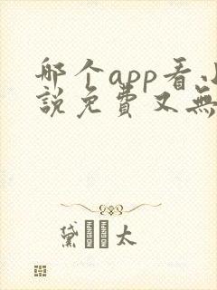 哪个app看小说免费又无广告