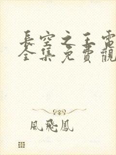 长空之王电视剧全集免费观看